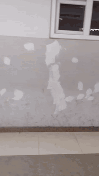 السلام وعليكم صبغ وديكورات ورق جدران وهذا رقمي ***********
