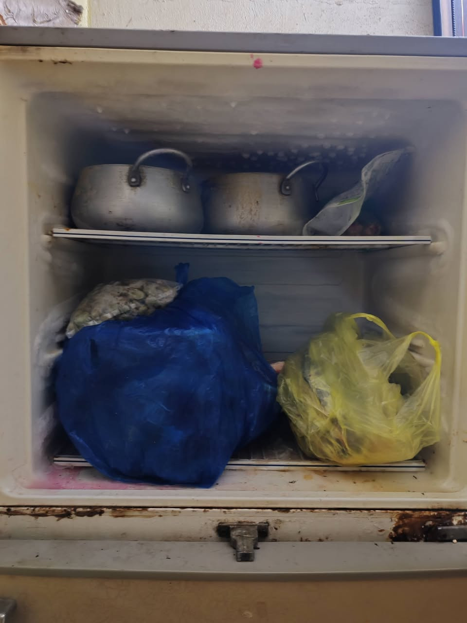 ثلاجه حجم كبير البيع


**إذا كنت صاحب هذا الإعلان وتريد حذفه لأي سبب، رجاءا أرسل رسالة إلى الدعم الفني**