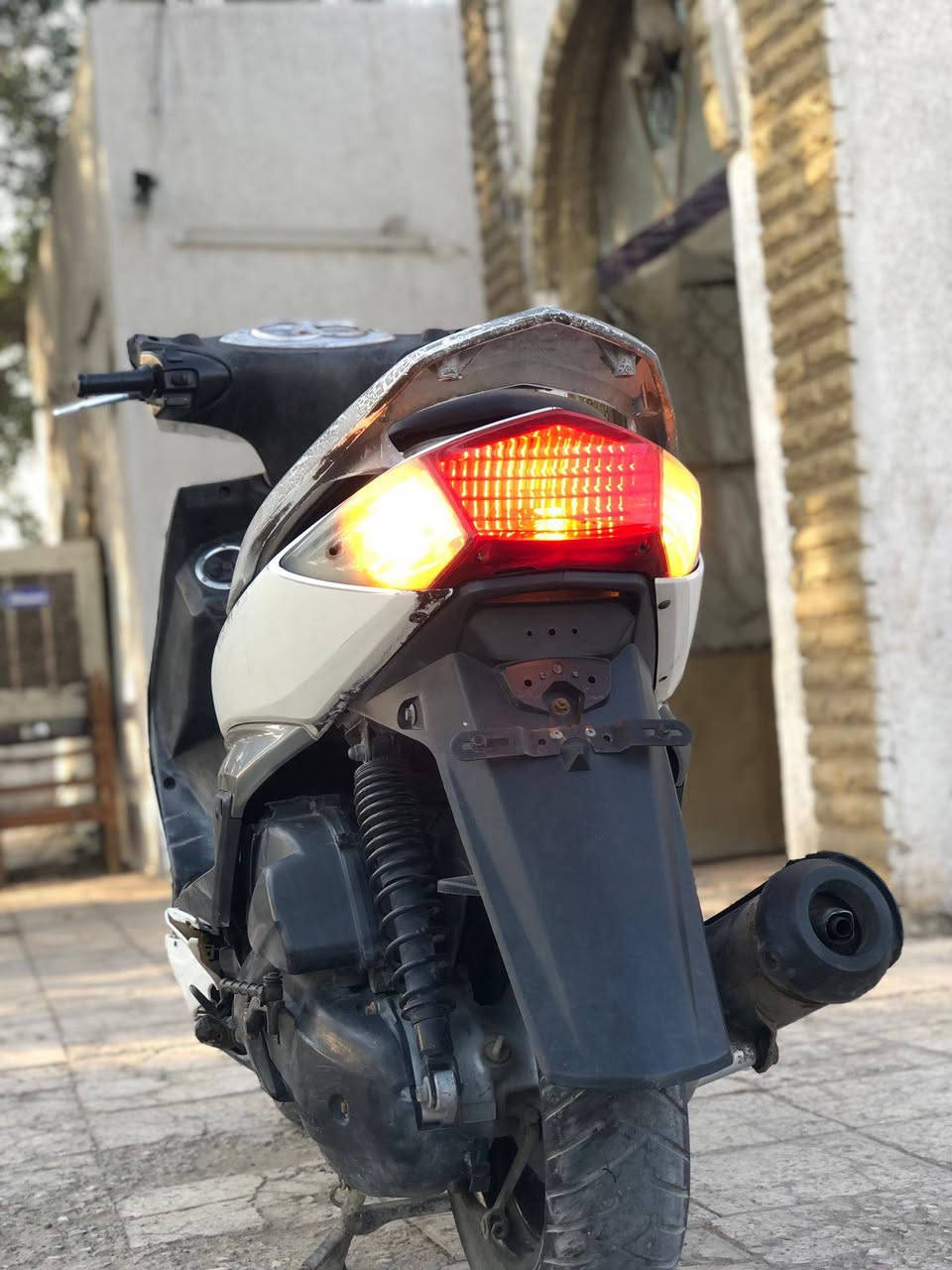 سلام عليكم سكنس فحل نوزل السعر 500 وبيها مجال *********** للاستفسار
