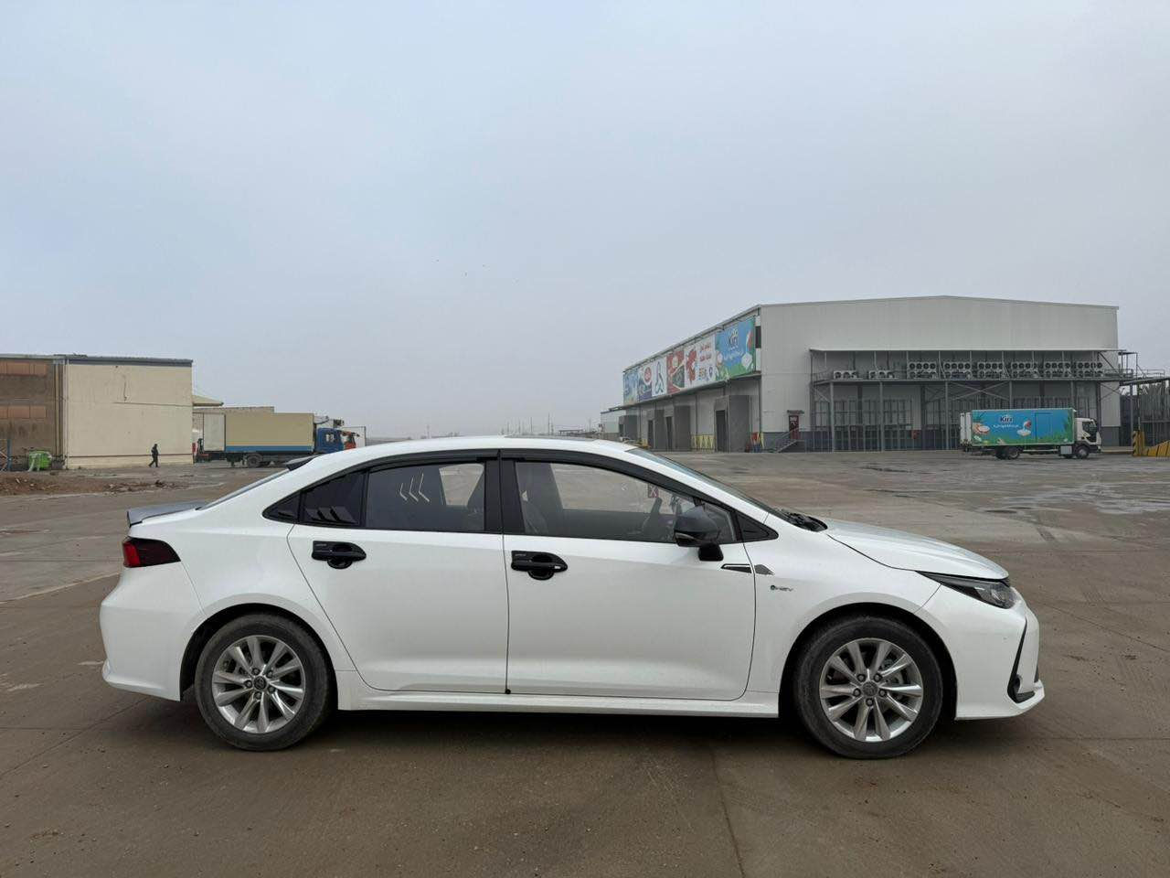 كورلا 2025 هايبرد فول
781 124 3831 بغداد, العراق
