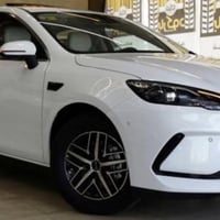 سايل 05 • هجينة • بصره حره