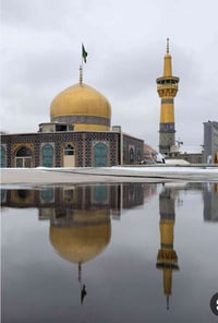 زيارة السيده فاطمه المعصومه عليها السلام أخيها الإمام الرضا عليه السلا...