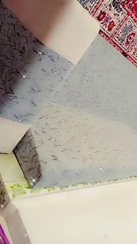 ديوان • نضيف • سفنج مميز