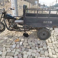 ستوته • MTR • بدون أوراق