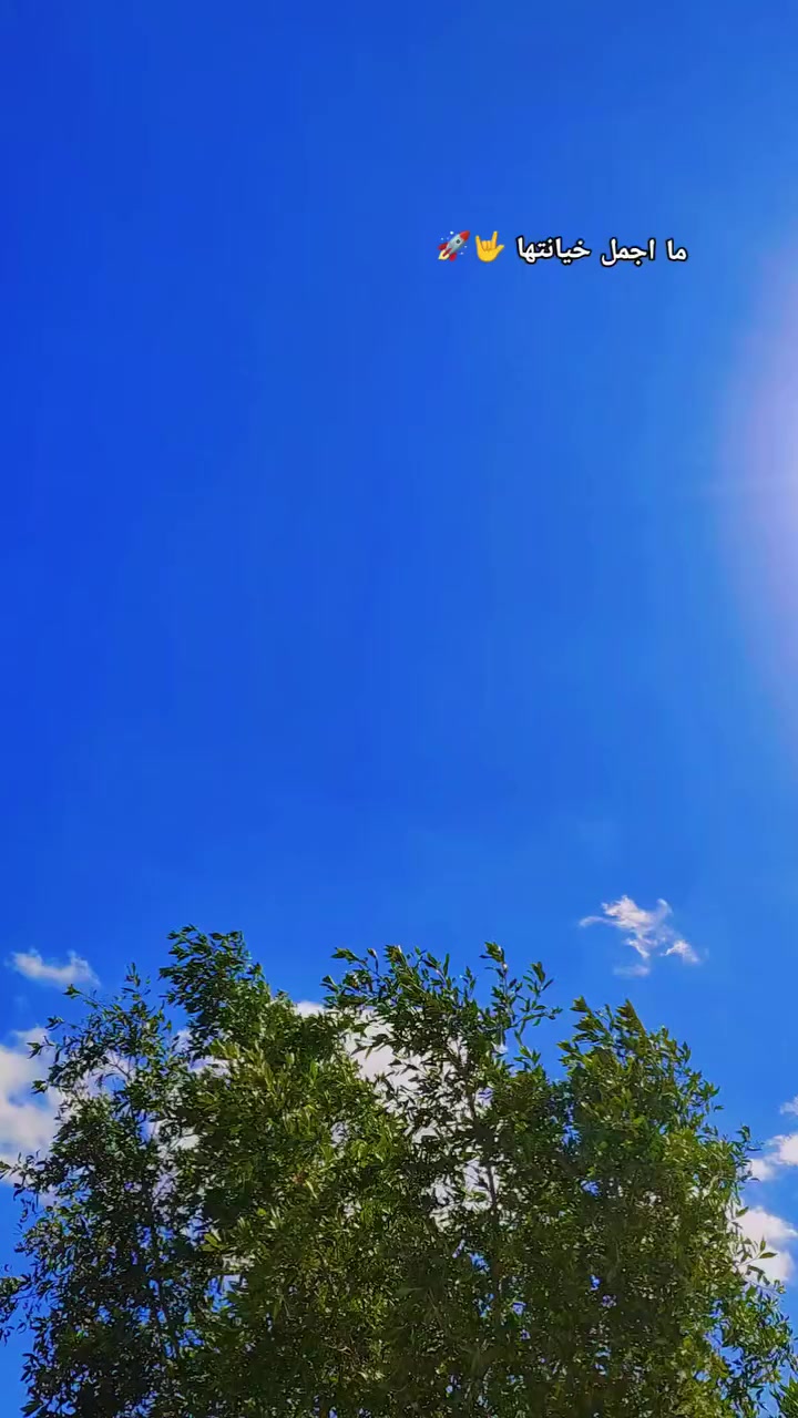 سلام عليكم نامه كل شلامجه اصلي اوراق 
سعر (675) مجالها قليل المكان محاويل ناحية الامام
متواجد ع خاص او ع خط ***********
