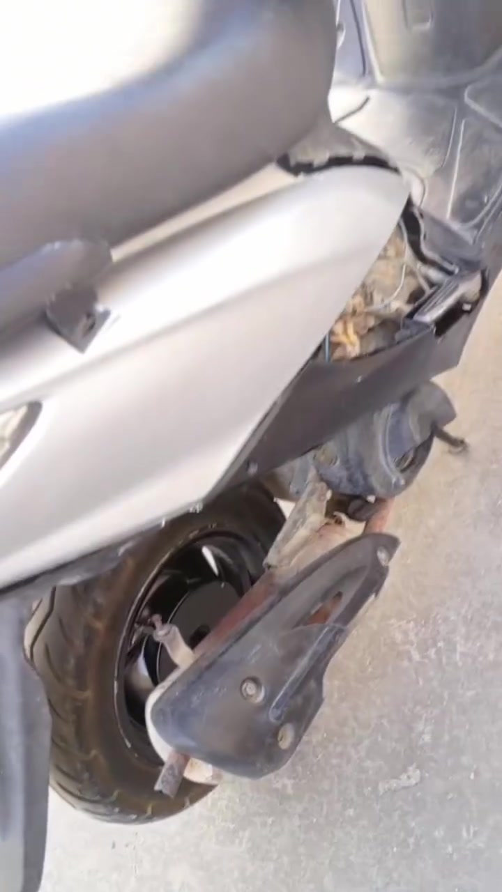 للبيع راسلني خاص


**إذا كنت صاحب هذا الإعلان وتريد حذفه لأي سبب، رجاءا أرسل رسالة إلى الدعم الفني**