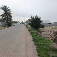 فلوجه النعيمية • ١٩٠٠م • قرب الشط