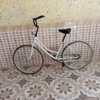 باسكل • مقاس ٢٦ • حاوي العباس