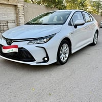 كورلا • ٢٠٢٥ • رقم بغداد