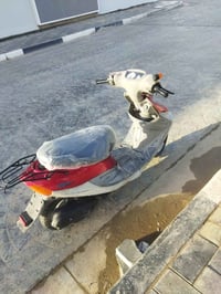 بيجي • نضيفه • سلف