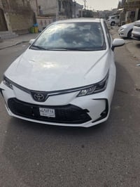 كورلا • رقم بصرة • مقترض وكفيل