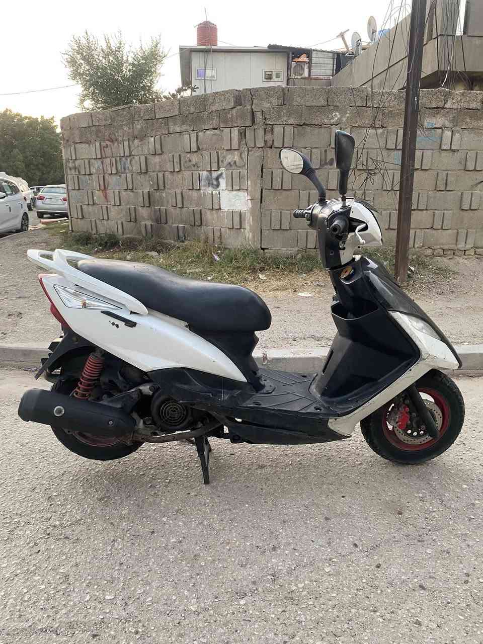 ماكس ثعلب سعر 400 الف مكانهة بغداد علي الصالح الرقم واتس اب فقط ***********
