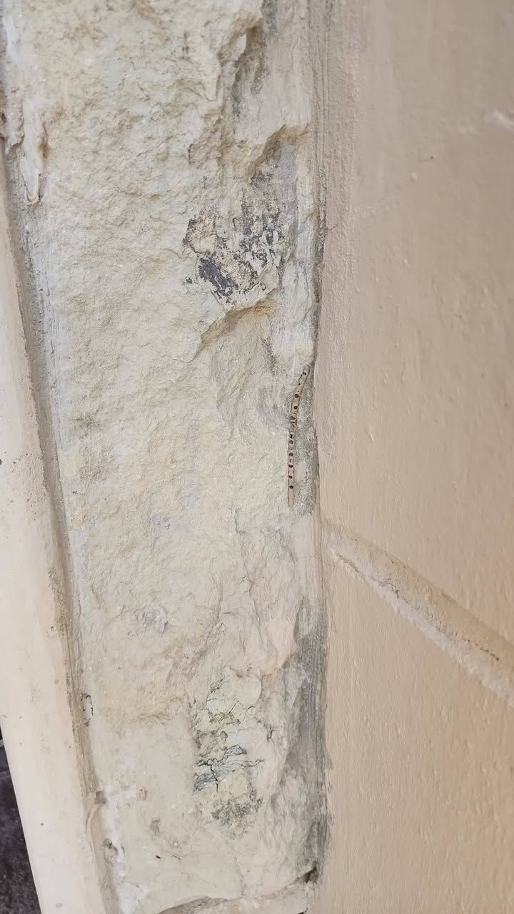 ✅ القضاء التام لحشرة الارضة بالطرق العلمية الحديثة

- نحن نفهم أن كُل مشكلة تتعلق بحشرة الارضة تختلف من منزل الى أخر ، لذلك نقدم حلولًا مخصصة لمكافحة حشرة الارضة تتناسب مع احتياجاتك الخاصة 

- ​نحن ملتزمون بتقديم افضل خدمة لمكافحة حشرة الارضة بأستخدام أحدث التقنيات والمواد الأمـنة الصديقة للبيئة

-​ لدينا فريق عمل يتميز بالخبرة والكفائة العالية في مجال مكافحة الارضة وجميع الحشرات ​

- تتميز خدماتنا بالضمان و الجودة والأسعار التنافسية 
_____________________ 
عملنا دور سكنيه دوائر حكوميه

شركه الجوهرة   خيارك الأول و الأفضل  👍

للحجز وللاستفسار 
***********

العنوان : صلاح الدين
