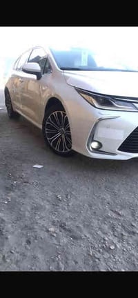 كورلا • ٢٠١٩ • رقم بغداد