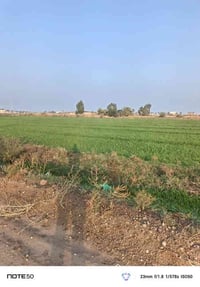 15 دونم • طابو الفلوجة • الشيخ عامر العيساوية