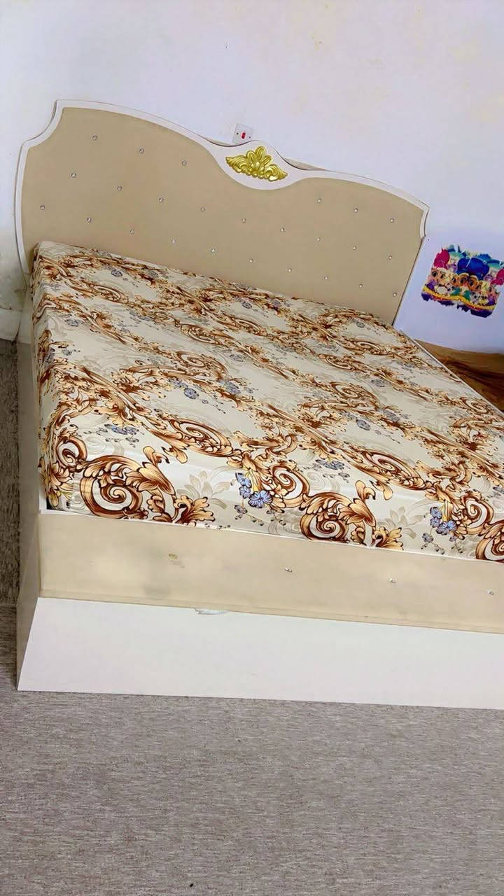 تاقمی نوستن جوان و بێ عەیب ٢٦٠هەزار هەولێر


**إذا كنت صاحب هذا الإعلان وتريد حذفه لأي سبب، رجاءا أرسل رسالة إلى الدعم الفني**