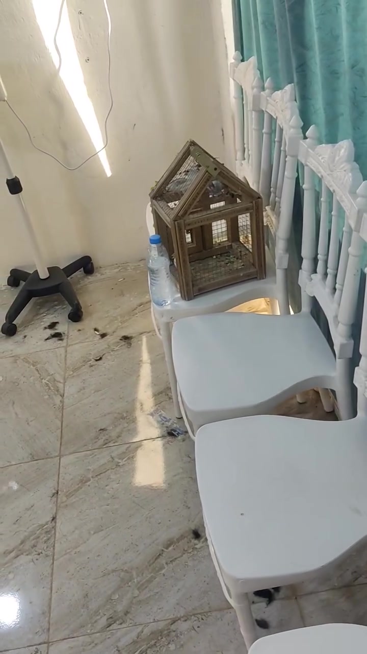محل حلاقه كامل للبيع سعر مليون او بي مجال
مكانه كربلاء الخيرات


**إذا كنت صاحب هذا الإعلان وتريد حذفه لأي سبب، رجاءا أرسل رسالة إلى الدعم الفني**