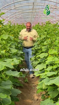 التهوية • الرطوبة • أمراض فطرية