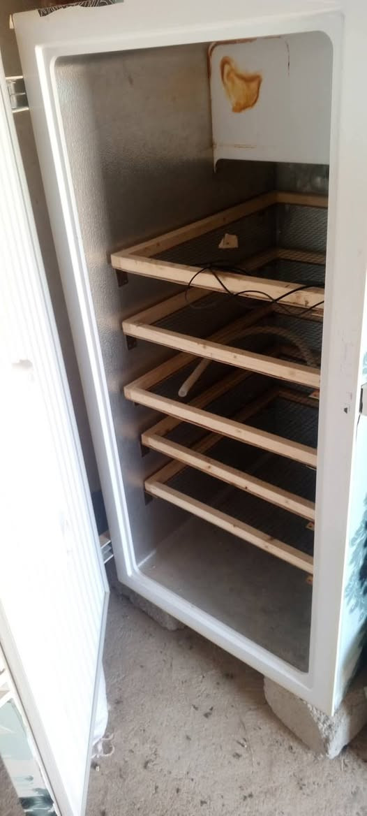 موجود مفقصه للبيع السعر 125 وبيها مجال فقاس مجمد تقليب يدوي تاخذ 650 بيضه الاستفسار على هذا الرقم او مراسله الصفحه***********
🐣🐥
