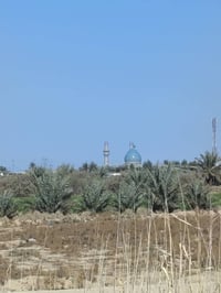 دونم • شريفة بنت الحسن • طابو زرعي