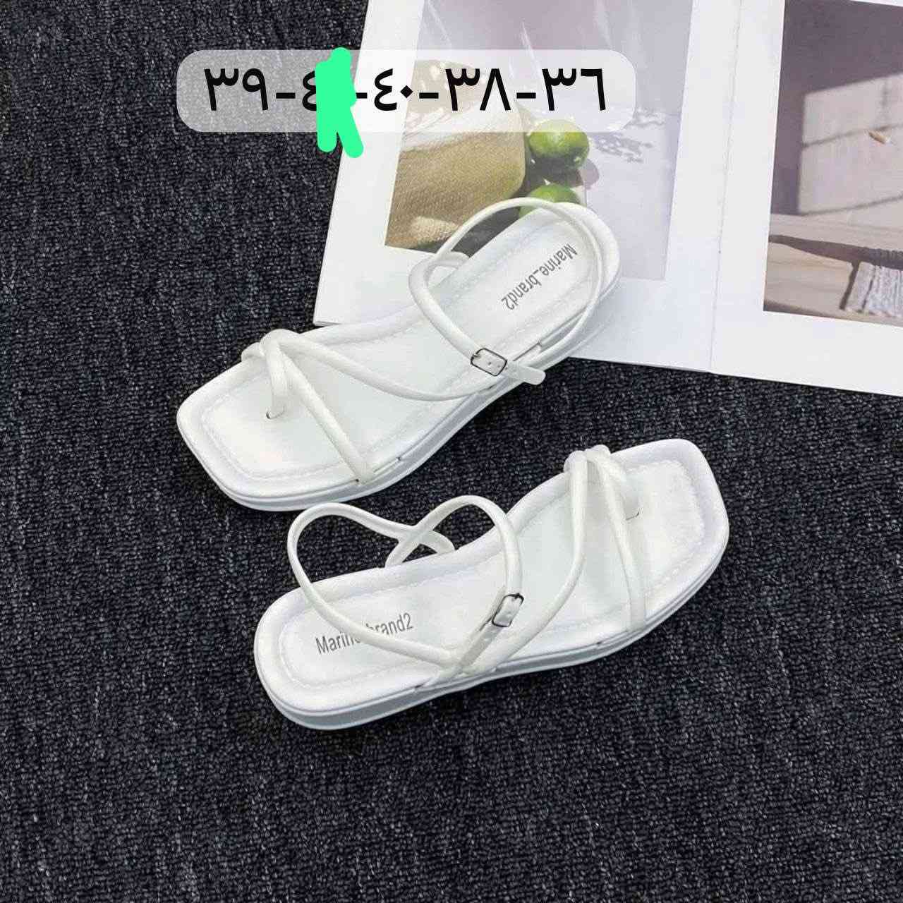 ✅موسم الصيفي السنه فدشي ✅

فلوريتان طبي سفنج بخف الريش

✅ هالمره غير ومختلف عن باقي المرات كعب شغل تركي لكن  يعني اصلي ومريح ميه بالميه✅

السعر   ٥    ✅ يابلاش 

ماركة الارجوان

الدبان  سفنج خفيف ريشه 

الوان والقياسات بلصور ⬇️⬇️⬇️

قالب ستندر  يوجد دفع زين كاش وًماستر

للحجز والاستفسار دايركت 

متوفرة خدمة التوصيل لجميع المحافظات


**إذا كنت صاحب هذا الإعلان وتريد حذفه لأي سبب، رجاءا أرسل رسالة إلى الدعم الفني**