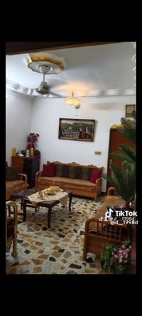 شارع الزوراء • ٥٠٠م • سند ٢٥ زراعي