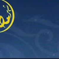 حزام شد الجسم • دكتور فوكس • صناعة ألمانية