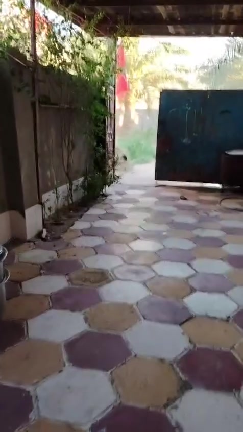 البيت للبيع
الرحمانيه قرب الخطوه ع السده البناء بلوك اللبيت طابو زراعي المساحه 300م 
2غرف. / مطبخ / ستقبال / صحيات / هولين
التفاصيل واتساب /***********
