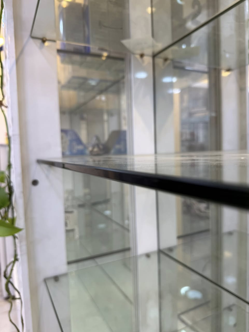 سلام عليكم فاترينات صيدلية خشب HDF صناعة مستورد وليس محلي جودة ممتازة رفوف جام ضد الكسر مع ابواب جام قياسات 
ارتفاع 2 متر 
عرض 1.20 متر
عمق 40 سنتيم
العدد 9 قطعة 
مع ميزين واحد متحرك مع تايرات 
وثاني ثابت مثل ماموضح بالصور
تحتوي على انارة وابواب خزن في الاسفل 
مكان بغداد القادسية ساحة قحطان 
للاستفسار واتساب ***********
