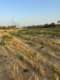 دونم • طابو زراعي • طريق حله نجف