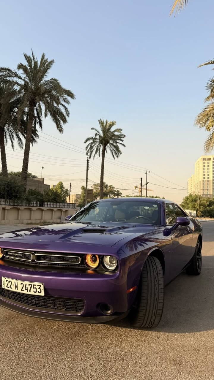 للبيع دوج جالنجر 2023 sxt last call / النداء الاخير
V6 3.6 / ماشية 44 الف 
لون بنفسجي حادث خلفي بجم كبس 
ايرباك البردة اليمنة فقط 
جاملغ خلفي صبغ و نص الصندوق و الجاملغ الثاني pdr بارد 
تعديل بارد بالشاصي الخلفي الأيمن 
صور الحادث مرفقة 
مواصفات الجالنجر المعروفة 
السيارة جاهزة متصرف عليها ربع 
السعر / 212 ورقة و بيها مجال للشراي 
رقم اربيل تحويل او وكالة 
مكاني بغداد السيدية 
***********
