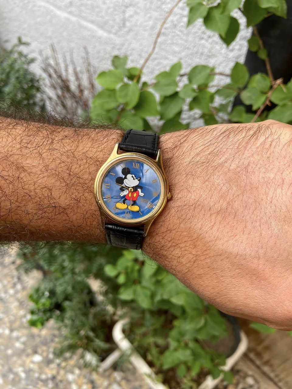 ساعة لوروس ميكي ماوس (Lorus Mickey Mouse) كلاسيكية ذات إطار ذهبي ومينا زرقاء.  وأرقام رومانية ميلين علامة تجارية تابعة لشركة سيكو اليابانية 
قطر ٣٦


**إذا كنت صاحب هذا الإعلان وتريد حذفه لأي سبب، رجاءا أرسل رسالة إلى الدعم الفني**