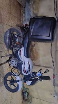 شباب بوكسر 23 كامله رقم و تحويل ثاني يوم عوزه بس تجفيت 1800 وبيهه مجال...