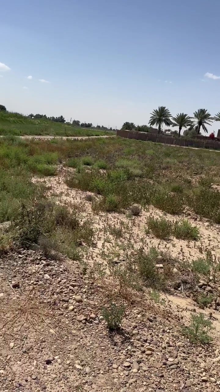 السلام عليكم توجد ارض للبيع طابو سند ٢٥ على طابو المحموديه في الرضوانيه بضهر التله موقع جدا حلو على شارعين منطقه حلوه وناس طيبه ارض مخدومه بالكامل سند بي ٦ دونم يباع فقط ثنين دونم سعر الدونم الواحد ١٧٥ وبي مجال للشراي الاستفسار الاتصال على هذا الرقم
***********
