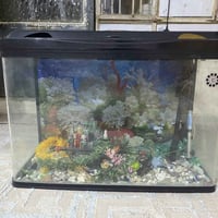 حوض أسماك • أجهزة المياه شغالة • كربلاء