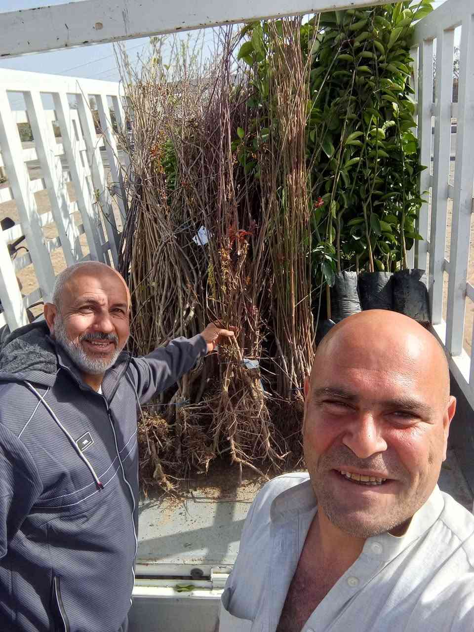 اللهم صلى على محمد وال محمد 
         ......................مشتل الجمعيه.........................
وصول وجبه جديده من النباتات النفضيه والحمضيات
الدجيل الجمعيه خلف الدفاع المدني 
للاستفسار والحجز *********** واتساب مازنجر 
توجد لدينا خدمه توصيل داخل الدجيل 💯 
برتقال مطعم 3000
لنك الدنيا 2000
لالنكي خشن 5000
تكي كندي 2000
تكي هندي احمر ارتفاع 4متر10.000
تكي هندي اصفر 8000
تكي سلبوحي 2000
تفاح ابراهيمي 1500
تفاح كاغدي 2000
تفاح احمر 4000
الو دموي 3000
عرموط صيفي 2000
خوخ مسكي 2000
خوخ هوليود 2500
تين وزيري ارتفاع 2متر 5000
رارنج مطعم 12000
نومي حلو خشن 5000
