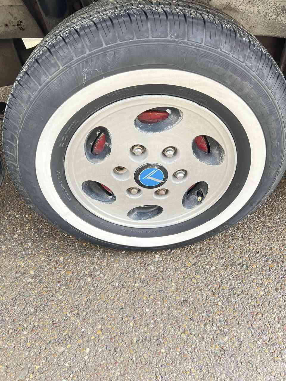 تخم 14  جديد مراوس ب  وياله منغولي


**إذا كنت صاحب هذا الإعلان وتريد حذفه لأي سبب، رجاءا أرسل رسالة إلى الدعم الفني**