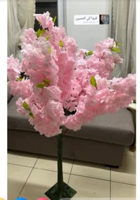 ورد جديد • ٢م سمائي • ٢م وربع احمر ابيض