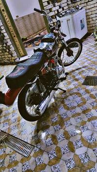 دايون نفخ • مراوس • رقم سنوية