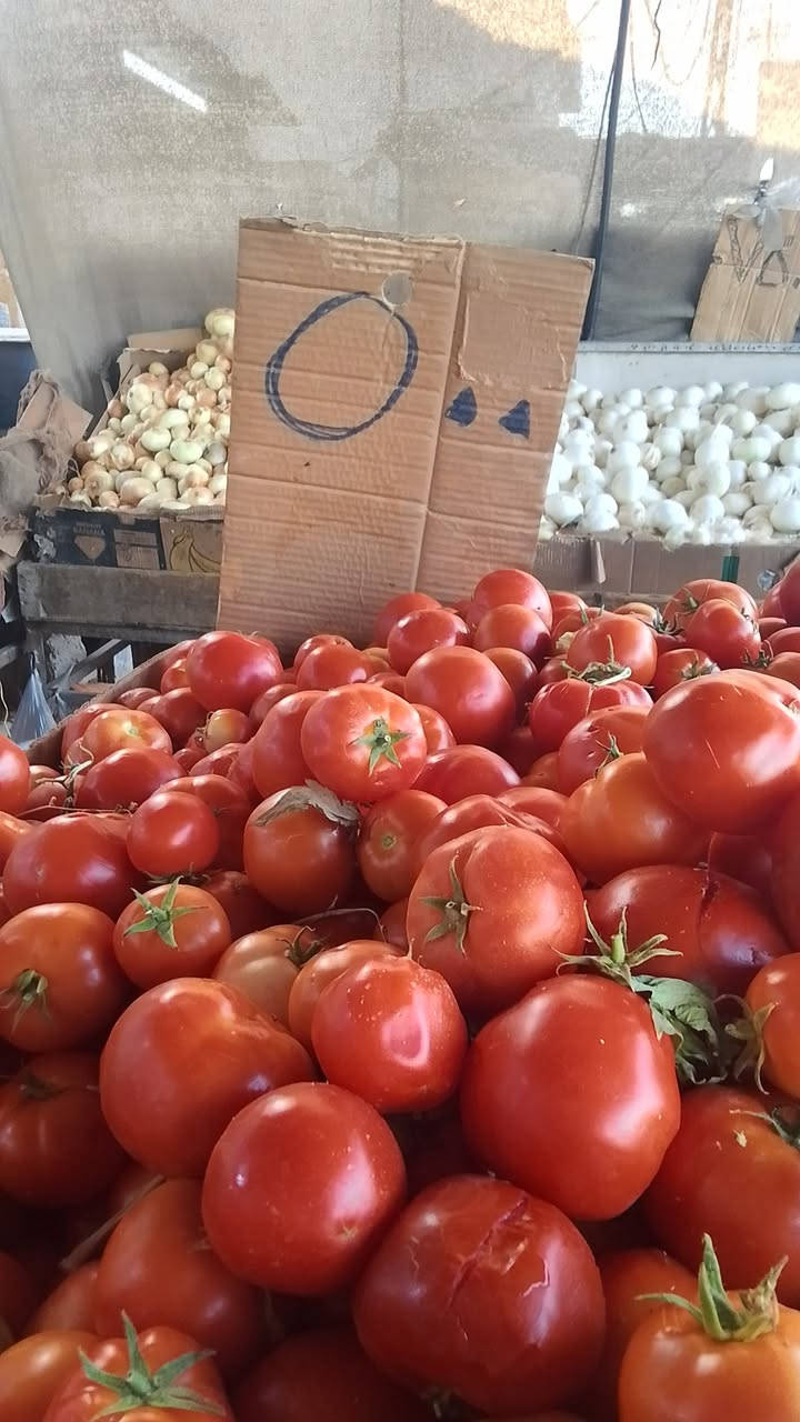 🥬🌶️ خضار اليوم... فرش وطازجة بأفضل جودة 🌿

نوفرلكم خضار مختارة بعناية، نظيفة وطازجة حتى توصلكم بأفضل حال. 💚
📦 توصيل سريع داخل المنطقة.

راسلوا الصفحة واطلبوا احتياجكم، وإحنا نوصله لباب البيت. 🚚🥒‏‪***********‬‏

#خضار #خضروات #طازج #توصيل #بقالة #العراق
