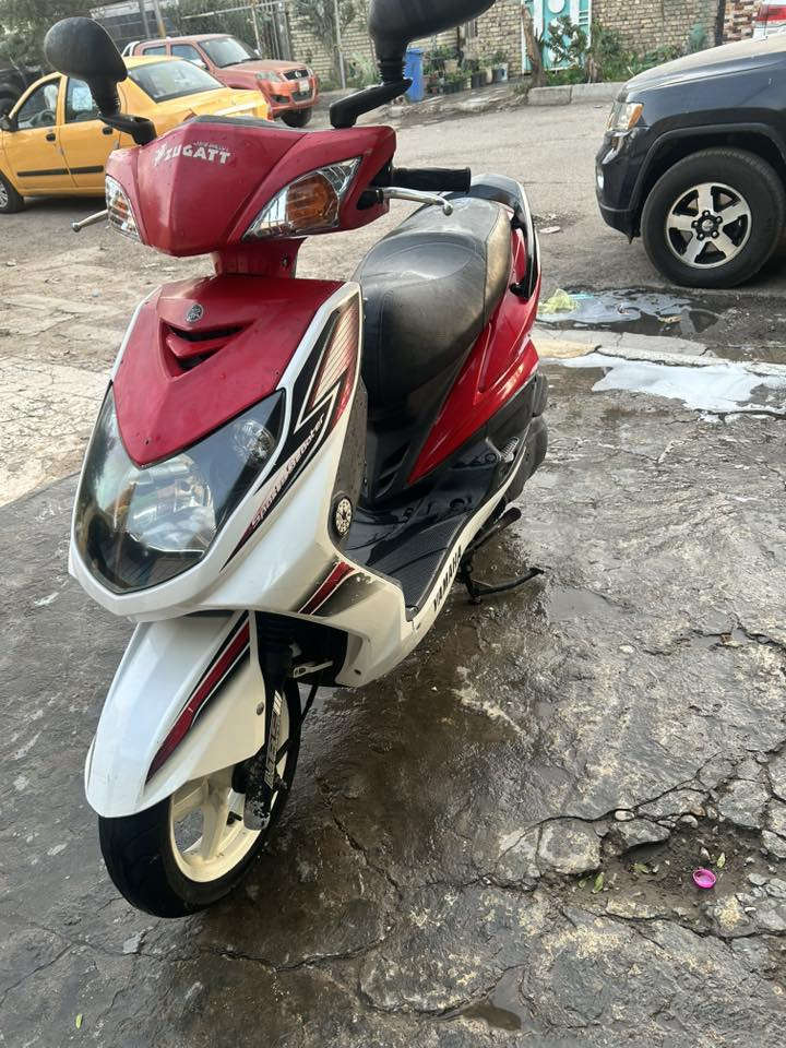 سلام عليكم شلونكم حبايب
للبيع سكنس فحل لوووك جديدة صارلهة يومين عندي 
نضيفة كلش  ‭٠٧٧٥ ٩٣٥ ٥٥١٩
