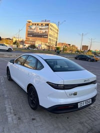 سيل 5 • ٢٠٢٥ • بغداد باسمي