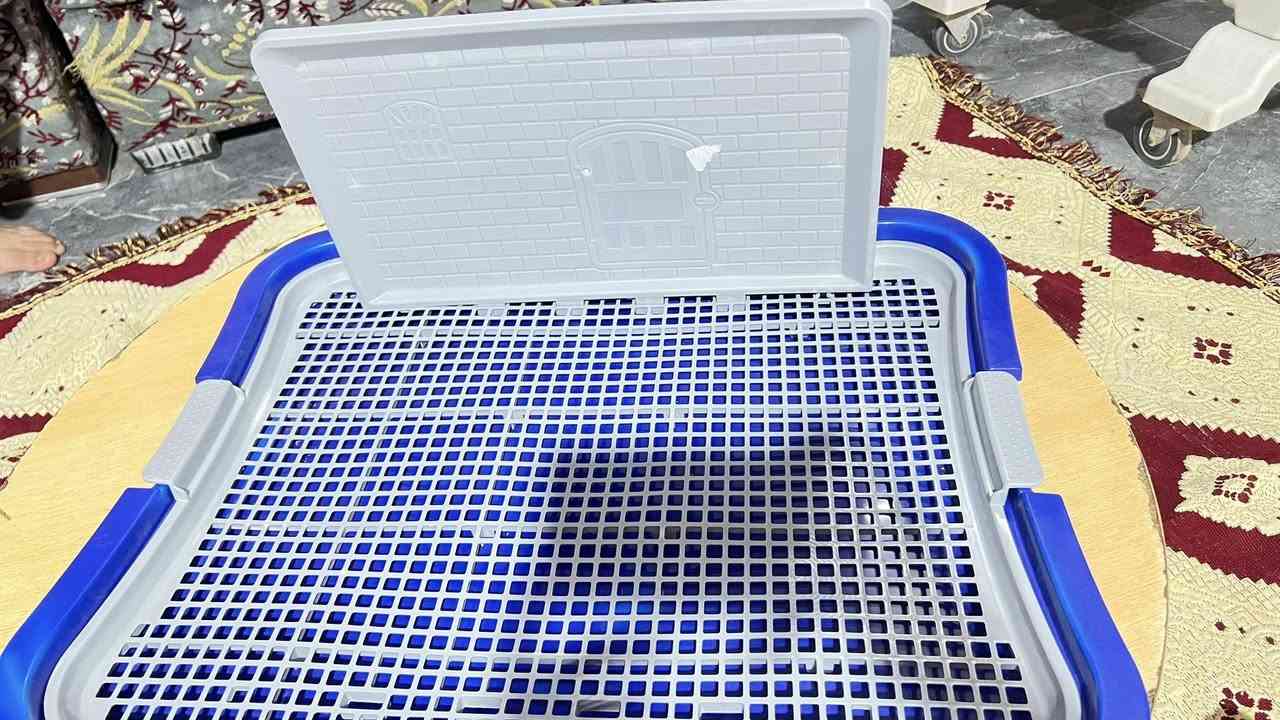 اغراض قطط وكلاب وطيور للبيع باسعار جداً مناسبة


**إذا كنت صاحب هذا الإعلان وتريد حذفه لأي سبب، رجاءا أرسل رسالة إلى الدعم الفني**
