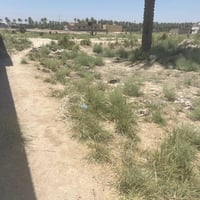 منطقة الغليس • ١٥٠م • سند ٢٥
