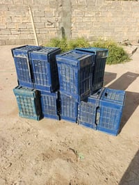 الزوج ب5 نضيفات 07713440411