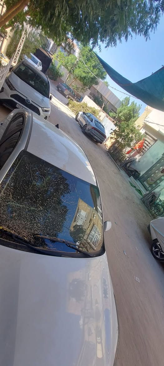 سلام عليكم من رخصه الادمن فورتي ٢٢ بدون رقم مكاني كربلاء حادث موضح بل صور جاملغ أيسر خشم البنيد راجع بارد فقط السعر ١٣٠ بي مجال قليل


**إذا كنت صاحب هذا الإعلان وتريد حذفه لأي سبب، رجاءا أرسل رسالة إلى الدعم الفني**