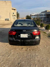 النترا امريكي • ٢٠٠٧ • بدون صبغ