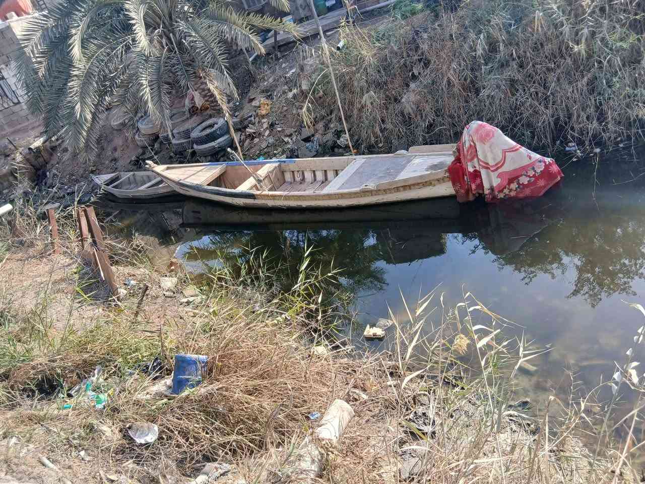 سلام عليكم جنكوه فافون للبيع طول 8متر سعر 400 الف ابو الخصيب جيكور ***********
