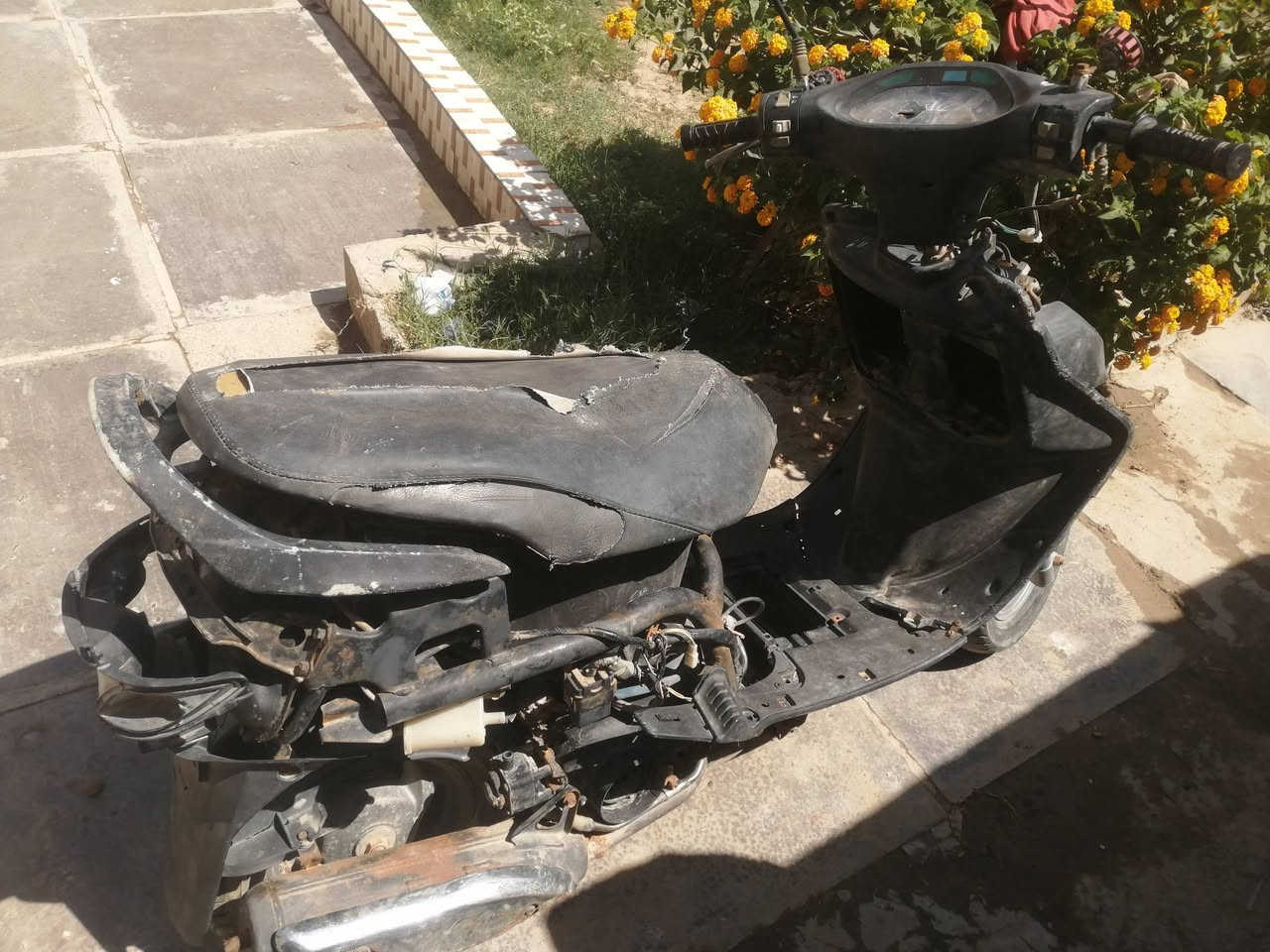 سلام عليكم دراجه فراشة البيع مكان ديوانية دغاره السعر على هذا الرقم ***********
