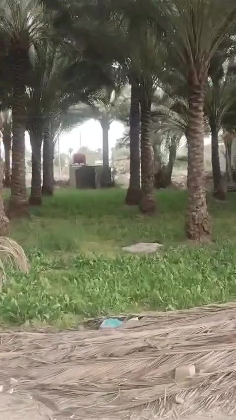 يالله قطعه البيع مساح مختلفه طريق كربلاء  طوريج  ٨٠٠ متر كلي ***********
